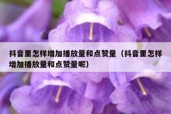 抖音里怎样增加播放量和点赞量（抖音里怎样增加播放量和点赞量呢） 第1张