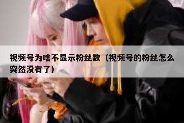 视频号为啥不显示粉丝数（视频号的粉丝怎么突然没有了） 第1张