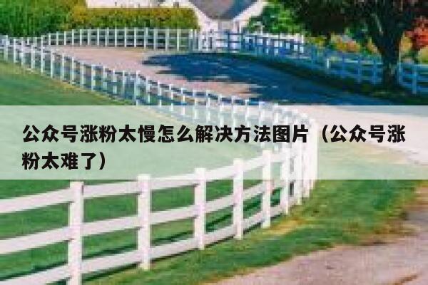 公众号涨粉太慢怎么解决方法图片（公众号涨粉太难了） 第1张