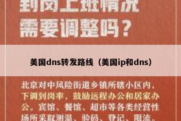 美国dns转发路线（美国ip和dns） 第1张