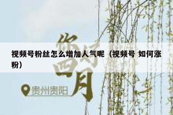 视频号粉丝怎么增加人气呢（视频号 如何涨粉） 第1张