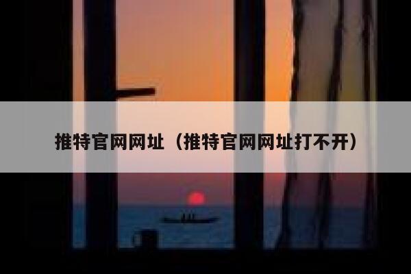 推特官网网址（推特官网网址打不开） 第1张