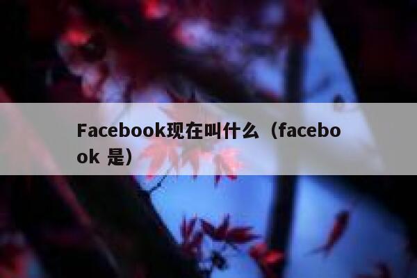 Facebook现在叫什么（facebook 是） 第1张