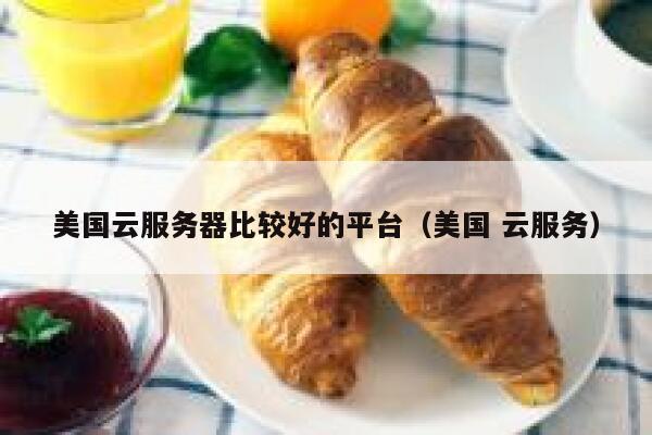美国云服务器比较好的平台（美国 云服务） 第1张