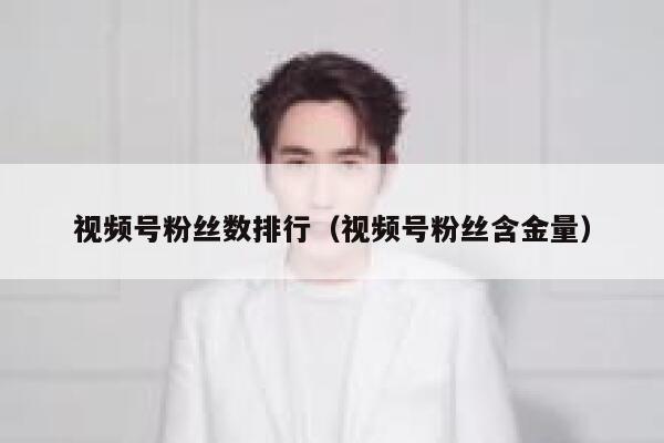 视频号粉丝数排行（视频号粉丝含金量） 第1张