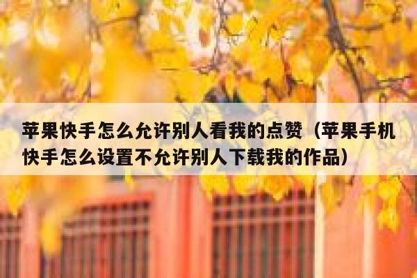 苹果快手怎么允许别人看我的点赞（苹果手机快手怎么设置不允许别人下载我的作品） 第1张