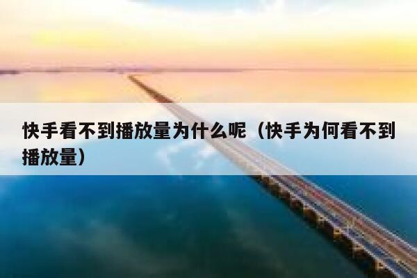 快手看不到播放量为什么呢（快手为何看不到播放量） 第1张
