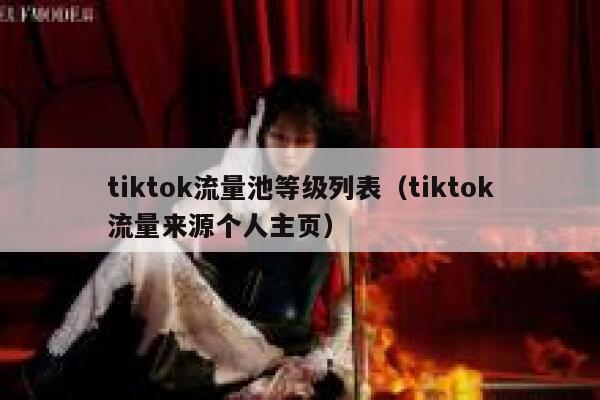 tiktok流量池等级列表（tiktok流量来源个人主页） 第1张