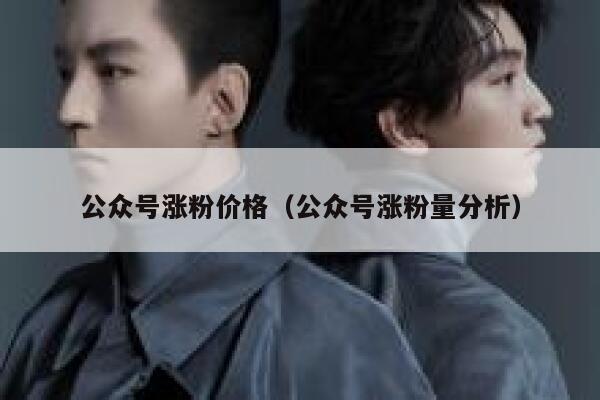 公众号涨粉价格(公众号涨粉量分析) 第1张 公众号涨粉价格(公众号涨粉量分析) 第1张