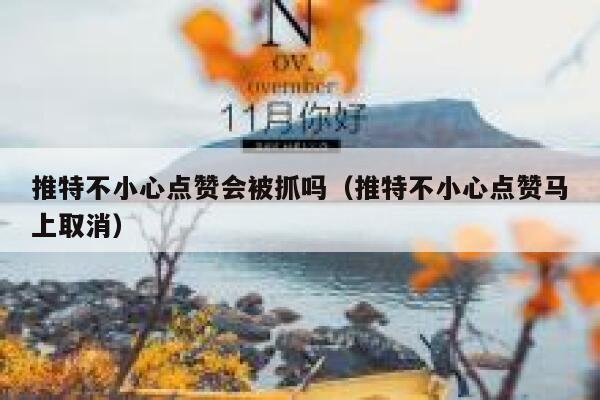 推特不小心点赞会被抓吗（推特不小心点赞马上取消） 第1张