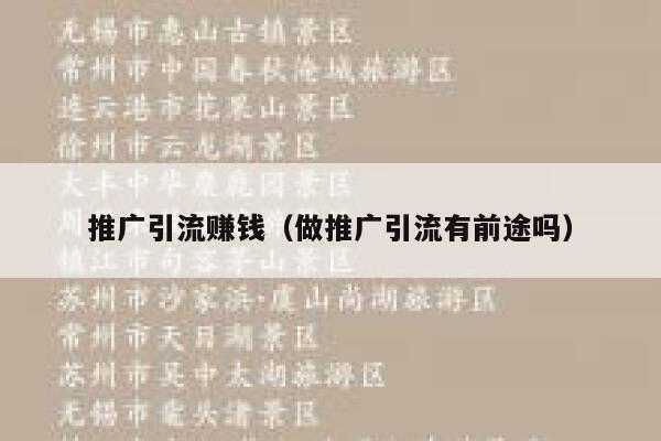 推广引流赚钱（做推广引流有前途吗） 第1张