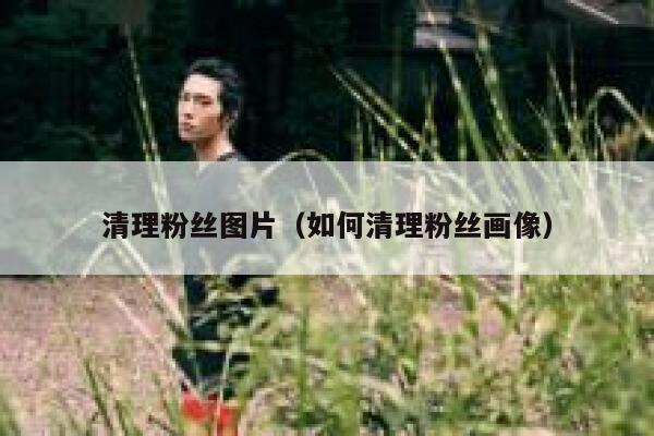清理粉丝图片(如何清理粉丝画像) 第1张 清理粉丝图片(如何清理粉丝画像) 第1张
