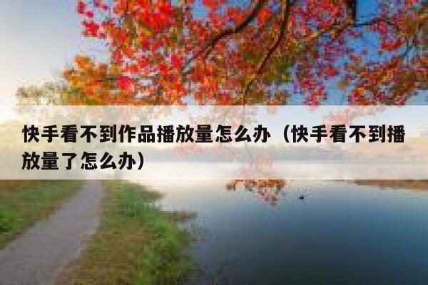 快手看不到作品播放量怎么办（快手看不到播放量了怎么办） 第1张