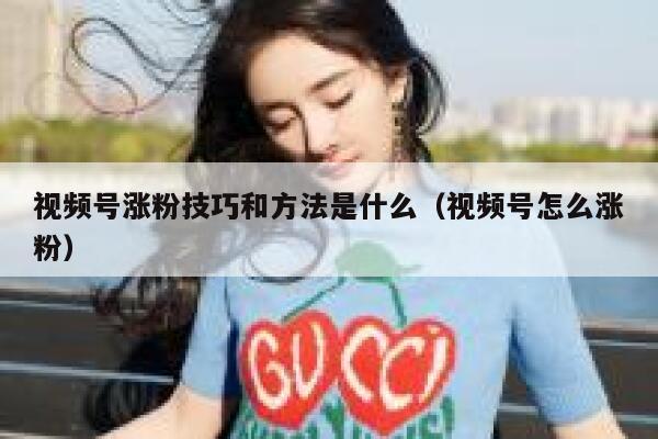 视频号涨粉技巧和方法是什么（视频号怎么涨粉） 第1张