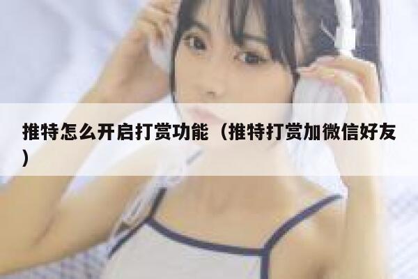 推特怎么开启打赏功能（推特打赏加微信好友） 第1张