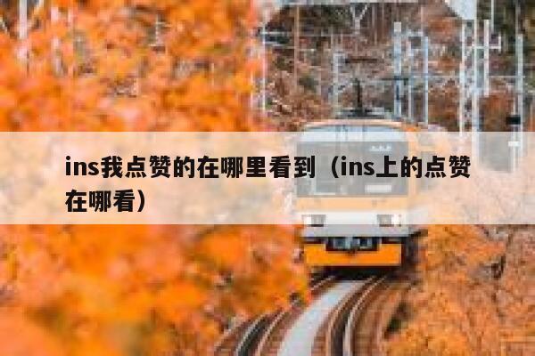 ins我点赞的在哪里看到（ins上的点赞在哪看） 第1张