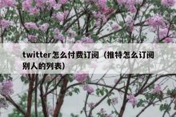 twitter怎么付费订阅（推特怎么订阅别人的列表） 第1张