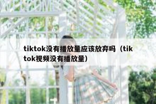 tiktok没有播放量应该放弃吗（tiktok视频没有播放量） 第1张