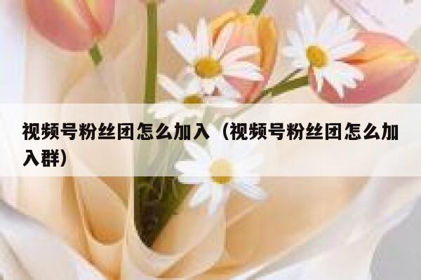 视频号粉丝团怎么加入（视频号粉丝团怎么加入群） 第1张