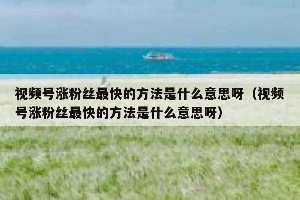 视频号涨粉丝最快的方法是什么意思呀（视频号涨粉丝最快的方法是什么意思呀） 第1张