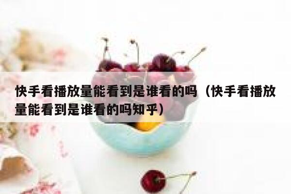 快手看播放量能看到是谁看的吗（快手看播放量能看到是谁看的吗知乎） 第1张