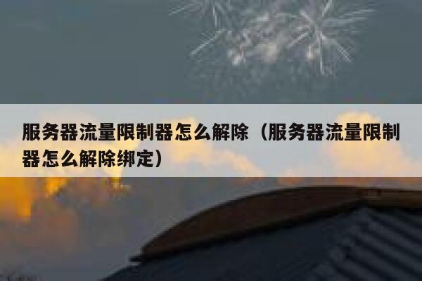 服务器流量限制器怎么解除（服务器流量限制器怎么解除绑定） 第1张
