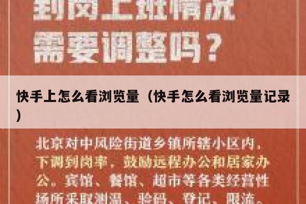 快手上怎么看浏览量（快手怎么看浏览量记录） 第1张