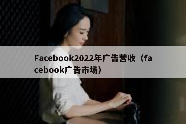 Facebook2022年广告营收（facebook广告市场） 第1张
