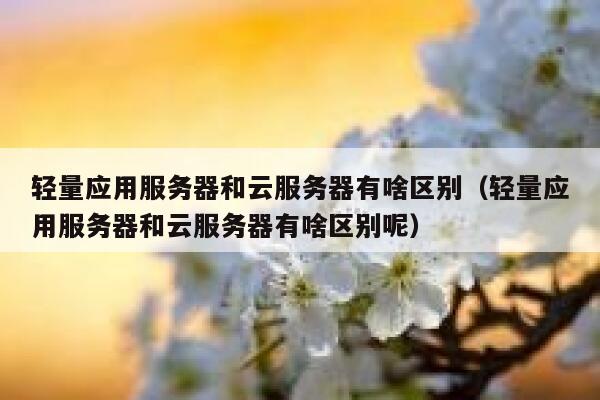 轻量应用服务器和云服务器有啥区别（轻量应用服务器和云服务器有啥区别呢） 第1张