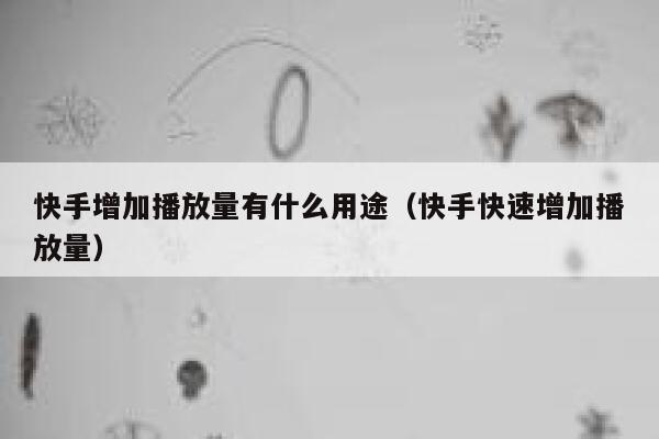 快手增加播放量有什么用途（快手快速增加播放量） 第1张