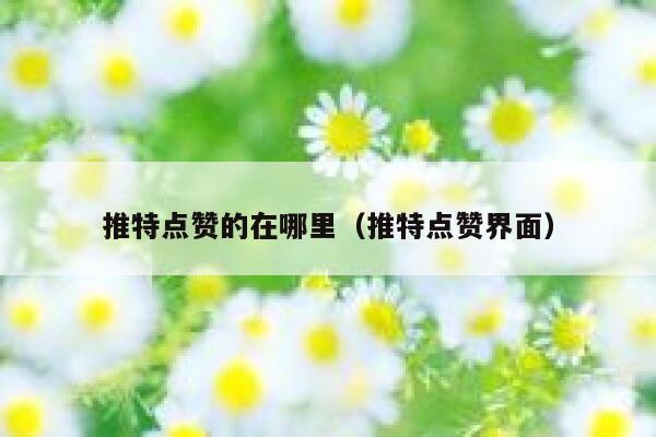 推特点赞的在哪里(推特点赞界面) 第1张 推特点赞的在哪里(推特点赞界面) 第1张