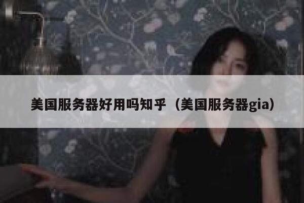 美国服务器好用吗知乎（美国服务器gia） 第1张