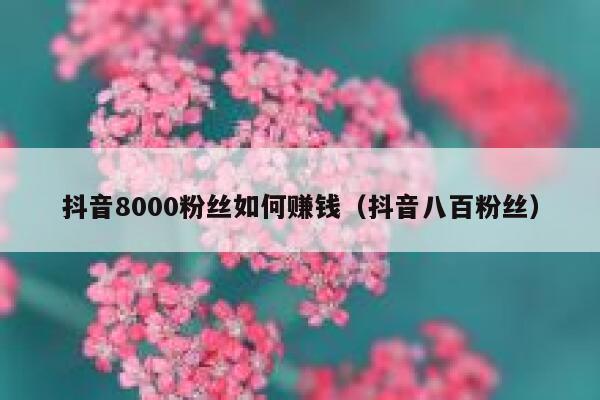 抖音8000粉丝如何赚钱(抖音八百粉丝) 第1张 抖音8000粉丝如何赚钱(抖音八百粉丝) 第1张