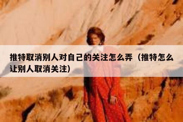 推特取消别人对自己的关注怎么弄（推特怎么让别人取消关注） 第1张