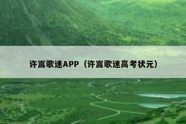 许嵩歌迷APP（许嵩歌迷高考状元） 第1张