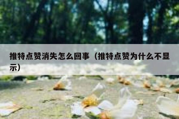 推特点赞消失怎么回事（推特点赞为什么不显示） 第1张