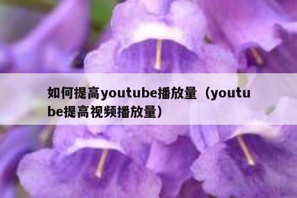 如何提高youtube播放量（youtube提高视频播放量） 第1张