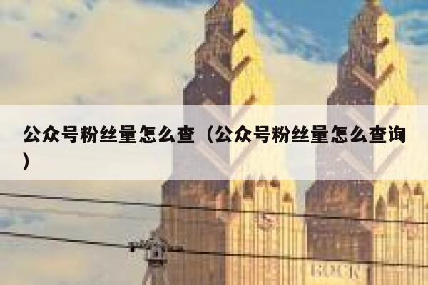 公众号粉丝量怎么查(公众号粉丝量怎么查询) 第1张 公众号粉丝量怎么查(公众号粉丝量怎么查询) 第1张