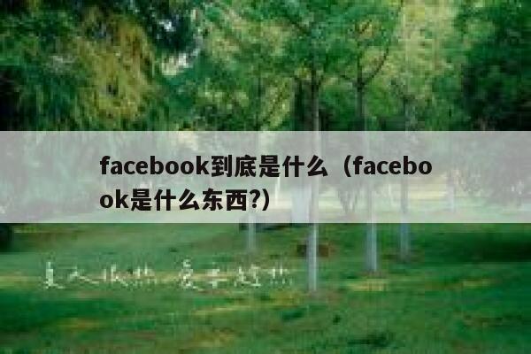 facebook到底是什么（facebook是什么东西?） 第1张