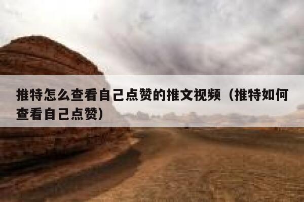 推特怎么查看自己点赞的推文视频（推特如何查看自己点赞） 第1张