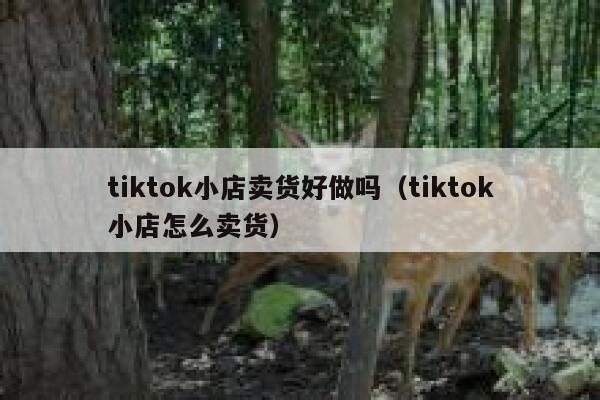 tiktok小店卖货好做吗（tiktok小店怎么卖货） 第1张