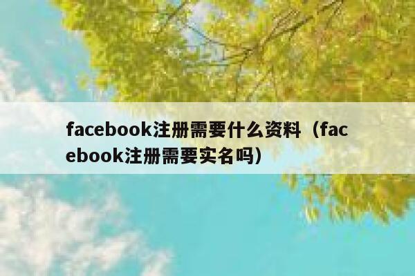 facebook注册需要什么资料（facebook注册需要实名吗） 第1张