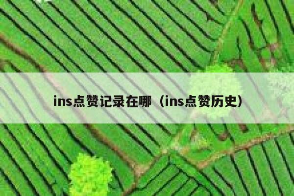 ins点赞记录在哪（ins点赞历史） 第1张