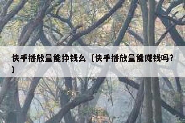快手播放量能挣钱么（快手播放量能赚钱吗?） 第1张