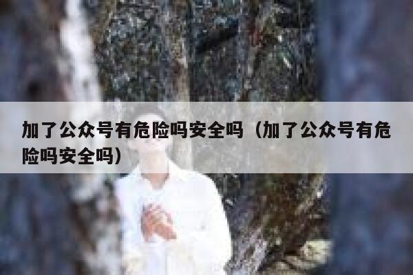 加了公众号有危险吗安全吗（加了公众号有危险吗安全吗） 第1张