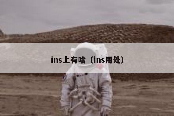 ins上有啥（ins用处） 第1张