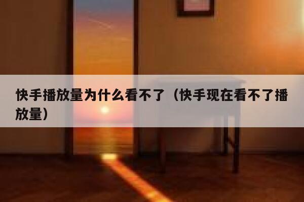 快手播放量为什么看不了（快手现在看不了播放量） 第1张
