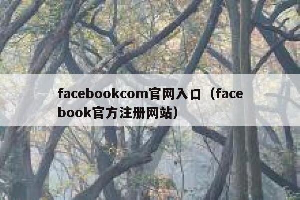 facebookcom官网入口（facebook官方注册网站） 第1张