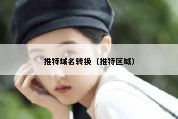推特域名转换（推特区域） 第1张