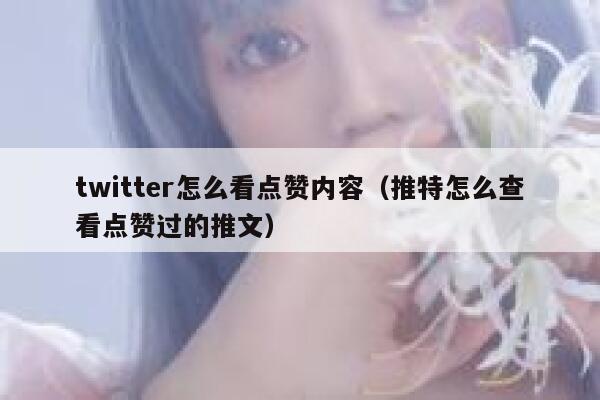 twitter怎么看点赞内容（推特怎么查看点赞过的推文） 第1张